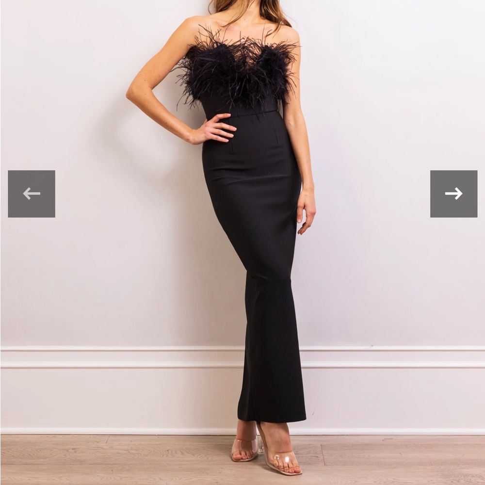Lisa Marée Art of Silence Feathered Maxi Dress - Picture 5 of 10